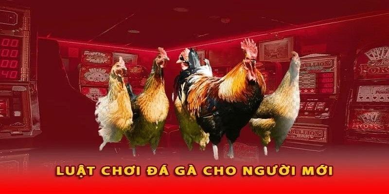 Luật chơi cơ bản nhất dành cho bet thủ