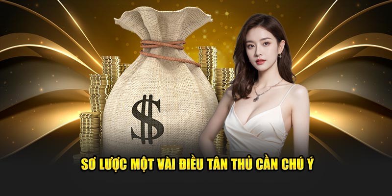 Sơ lược một vài điều tân thủ cần chú ý